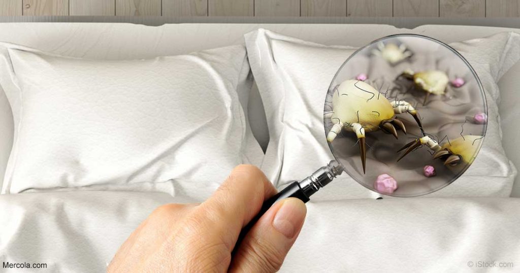 Tu almohada puede enfermarte. Descubre cuál es la razón