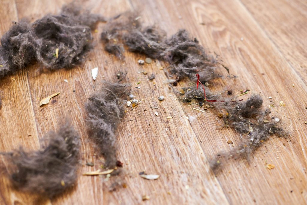 Tips con vinagre para blanquear la ropa, eliminar los malos olores y pelos de perro