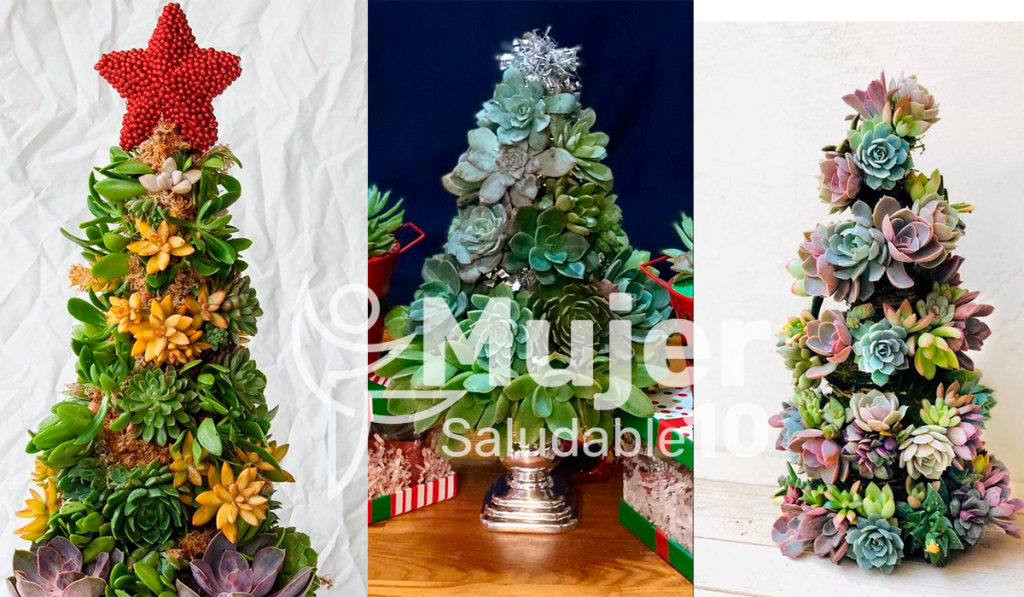 10 ideas para recrear árboles de navidad con suculentas